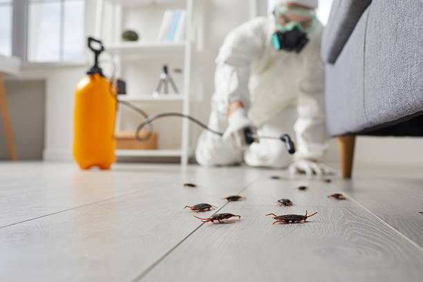 Post-Treatment Bed Bug Interceptor Monitoring in Princeton